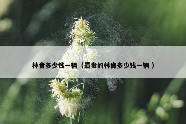 林肯多少钱一辆（最贵的林肯多少钱一辆 ）