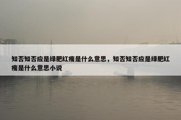 知否知否应是绿肥红瘦是什么意思，知否知否应是绿肥红瘦是什么意思小说