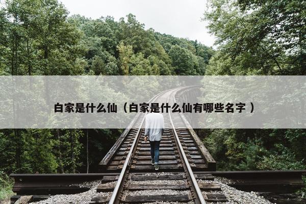 白家是什么仙（白家是什么仙有哪些名字 ）