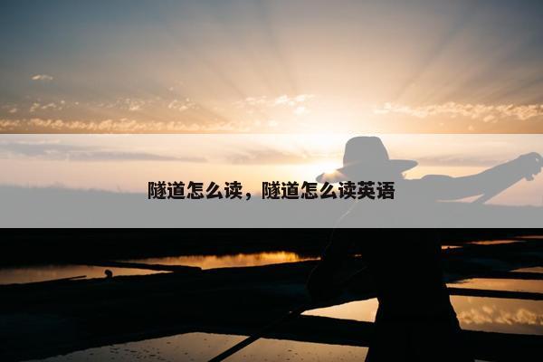 隧道怎么读，隧道怎么读英语