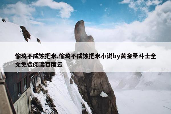 偷鸡不成蚀把米,偷鸡不成蚀把米小说by黄金圣斗士全文免费阅读百度云