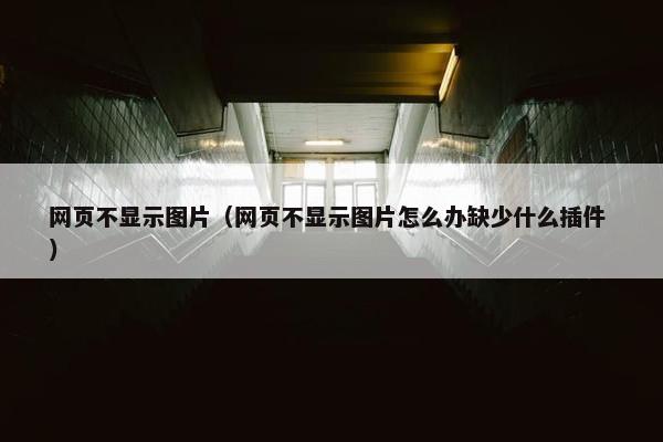 网页不显示图片（网页不显示图片怎么办缺少什么插件 ）