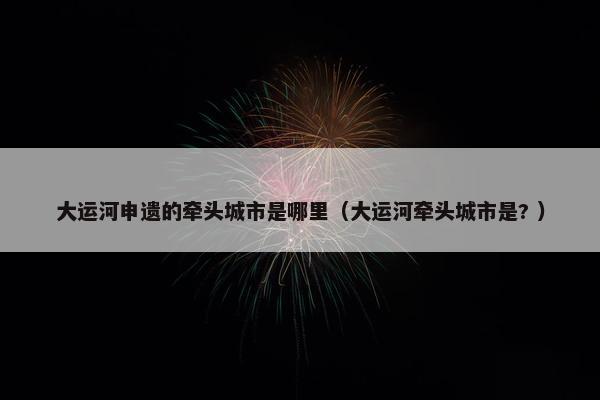 大运河申遗的牵头城市是哪里（大运河牵头城市是? ）