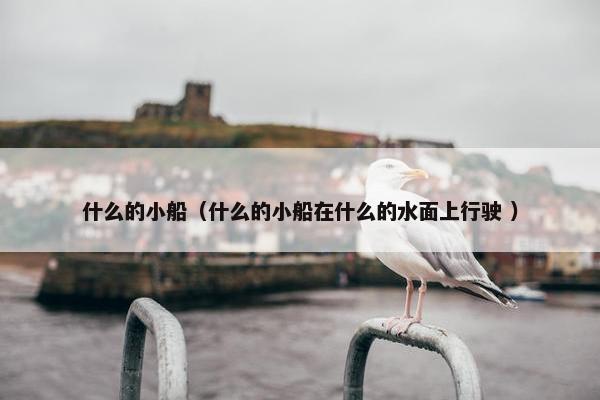 什么的小船（什么的小船在什么的水面上行驶 ）