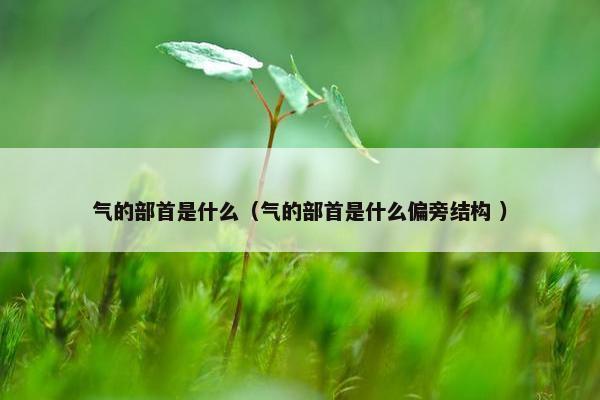 气的部首是什么（气的部首是什么偏旁结构 ）