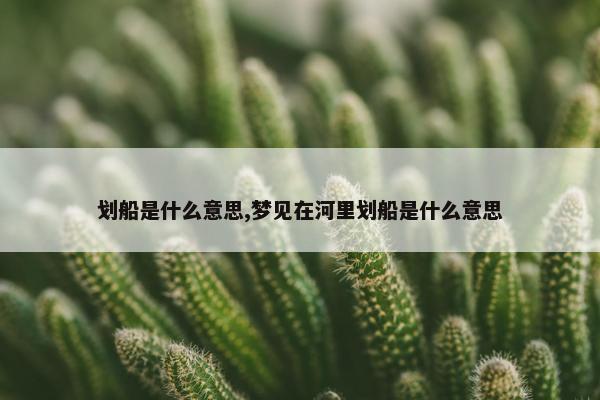 划船是什么意思,梦见在河里划船是什么意思