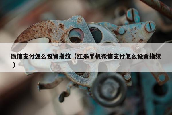 微信支付怎么设置指纹（红米手机微信支付怎么设置指纹 ）