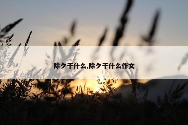 除夕干什么,除夕干什么作文