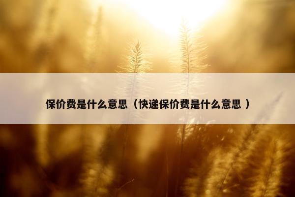 保价费是什么意思（快递保价费是什么意思 ）