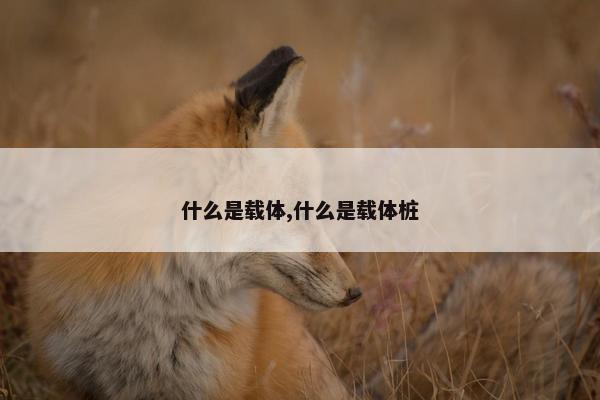 什么是载体,什么是载体桩