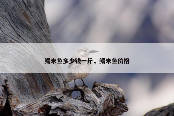 鳎米鱼多少钱一斤，鳎米鱼价格