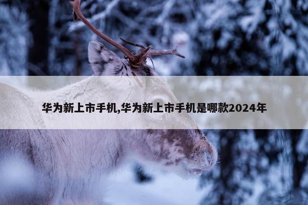 华为新上市手机,华为新上市手机是哪款2024年