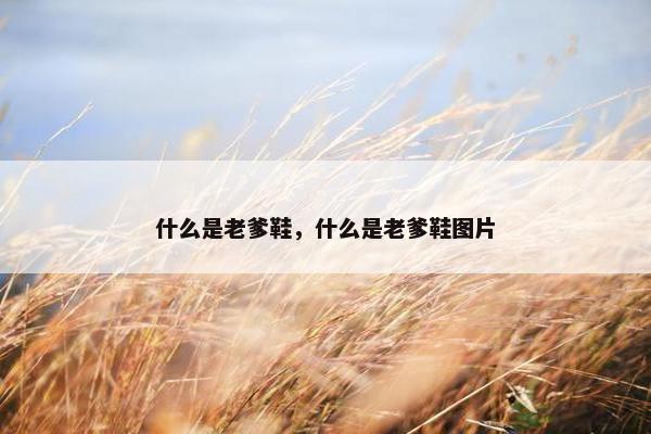 什么是老爹鞋，什么是老爹鞋图片