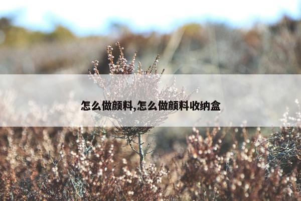 怎么做颜料,怎么做颜料收纳盒