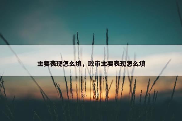 主要表现怎么填，政审主要表现怎么填