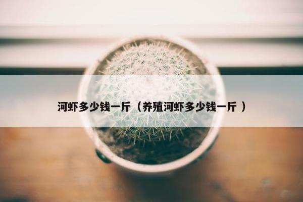 河虾多少钱一斤（养殖河虾多少钱一斤 ）