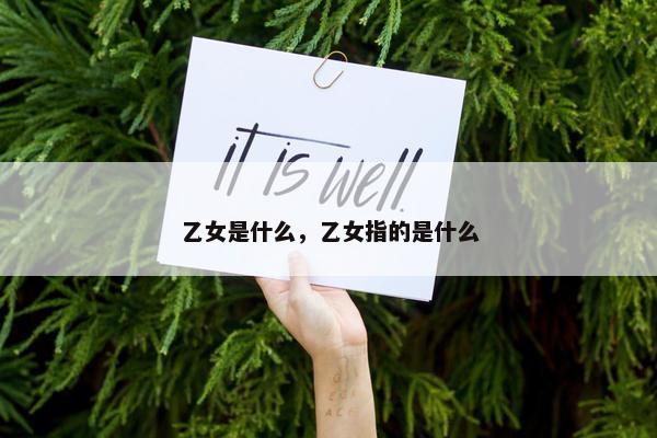 乙女是什么，乙女指的是什么