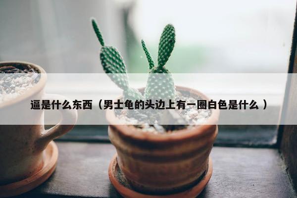 逼是什么东西（男士龟的头边上有一圈白色是什么 ）