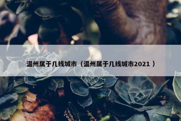 温州属于几线城市（温州属于几线城市2021 ）