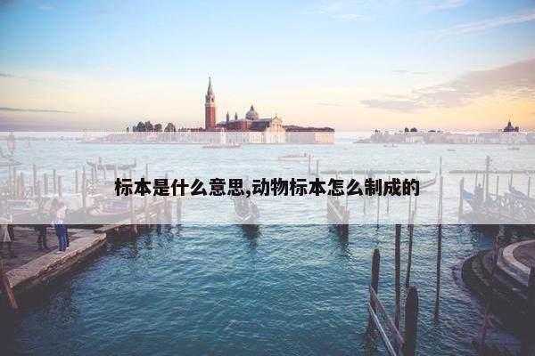 标本是什么意思,动物标本怎么制成的