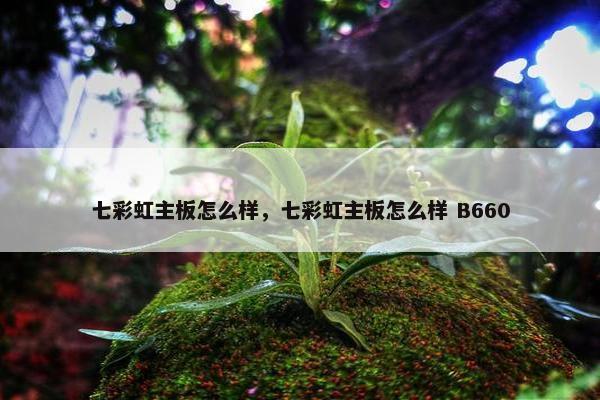 七彩虹主板怎么样，七彩虹主板怎么样 B660