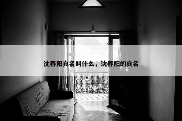 沈春阳真名叫什么，沈春阳的真名