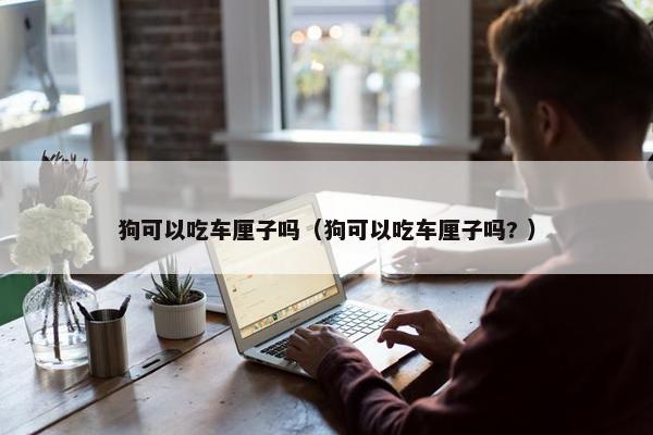 狗可以吃车厘子吗（狗可以吃车厘子吗? ）