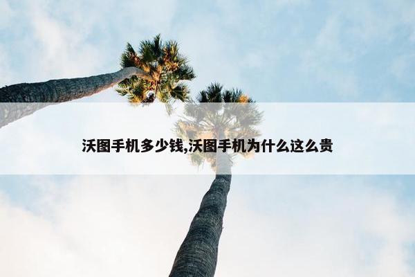 沃图手机多少钱,沃图手机为什么这么贵