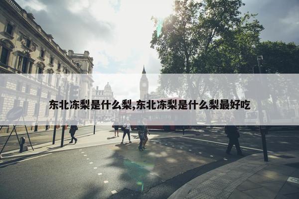 东北冻梨是什么梨,东北冻梨是什么梨最好吃