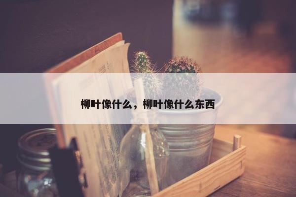 柳叶像什么，柳叶像什么东西