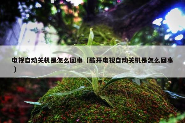 电视自动关机是怎么回事（酷开电视自动关机是怎么回事 ）