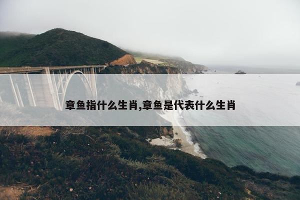 章鱼指什么生肖,章鱼是代表什么生肖