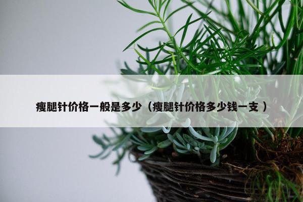 瘦腿针价格一般是多少（瘦腿针价格多少钱一支 ）