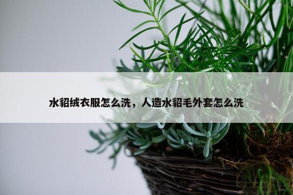 水貂绒衣服怎么洗，人造水貂毛外套怎么洗