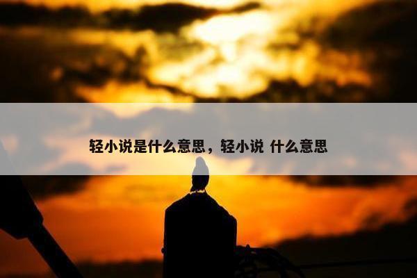 轻小说是什么意思，轻小说 什么意思