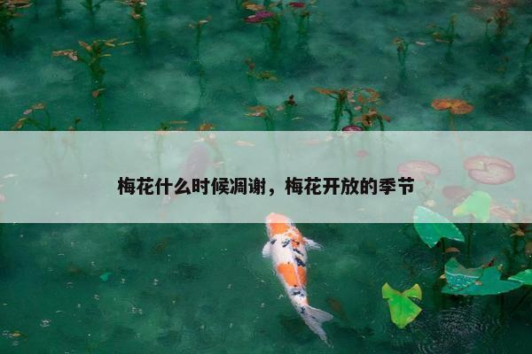 梅花什么时候凋谢，梅花开放的季节