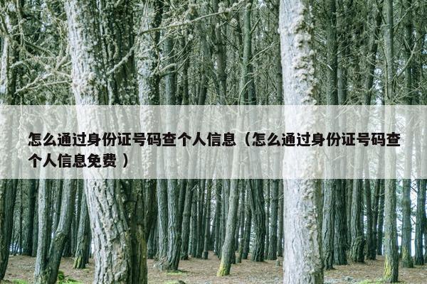 怎么通过身份证号码查个人信息（怎么通过身份证号码查个人信息免费 ）