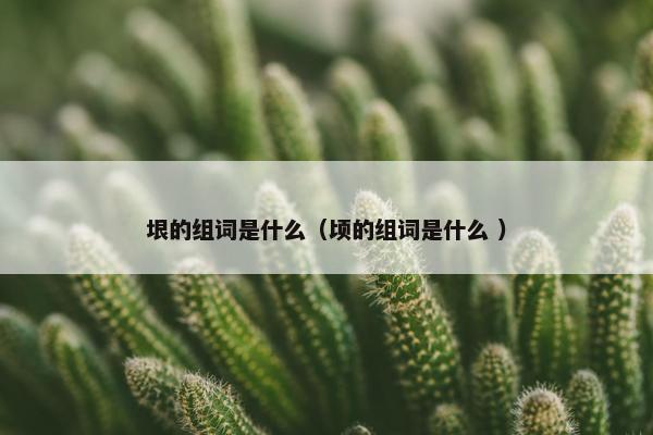 垠的组词是什么（顷的组词是什么 ）