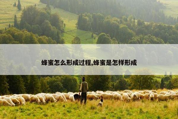 蜂蜜怎么形成过程,蜂蜜是怎样形成