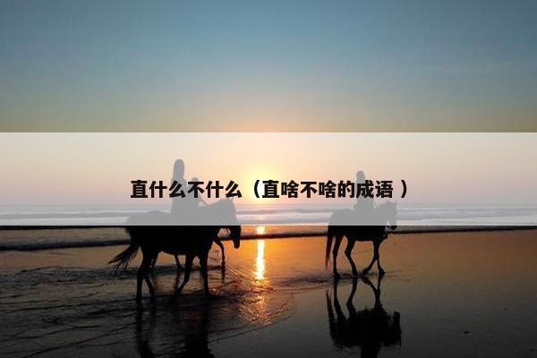 直什么不什么（直啥不啥的成语 ）