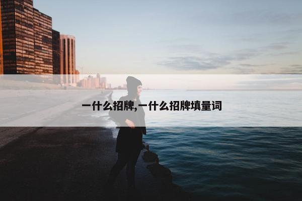 一什么招牌,一什么招牌填量词