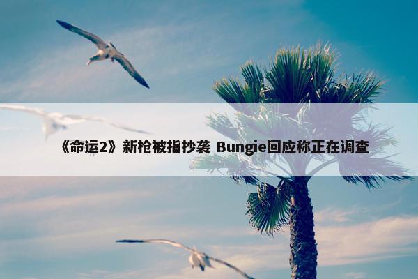 《命运2》新枪被指抄袭 Bungie回应称正在调查