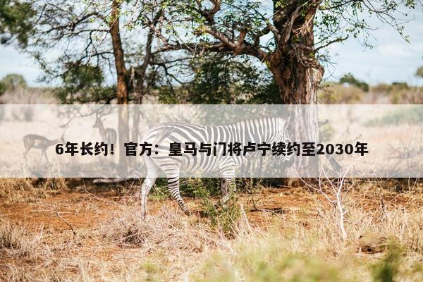 6年长约！官方：皇马与门将卢宁续约至2030年