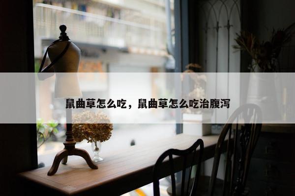 鼠曲草怎么吃，鼠曲草怎么吃治腹泻