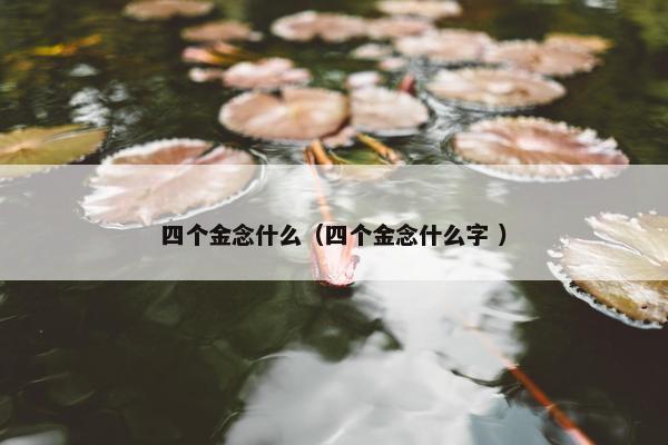 四个金念什么（四个金念什么字 ）