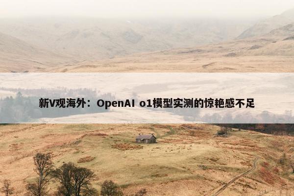 新V观海外：OpenAI o1模型实测的惊艳感不足