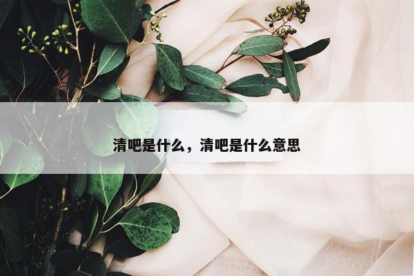 清吧是什么，清吧是什么意思