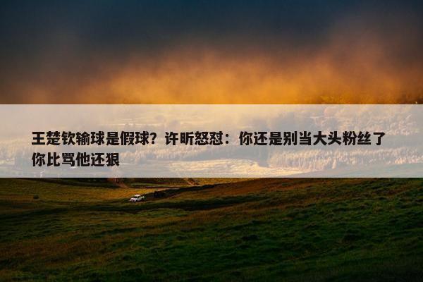 王楚钦输球是假球？许昕怒怼：你还是别当大头粉丝了 你比骂他还狠