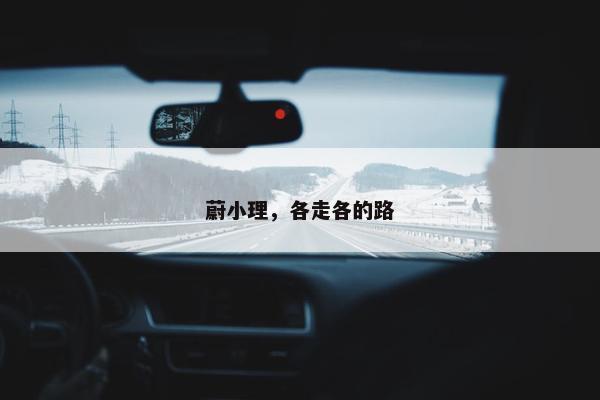 蔚小理，各走各的路