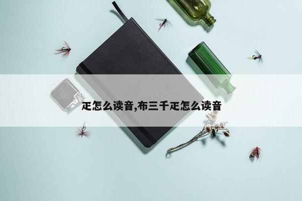 疋怎么读音,布三千疋怎么读音